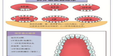 胎兒體重對照表怎麼看?秒懂寶寶發育狀況!