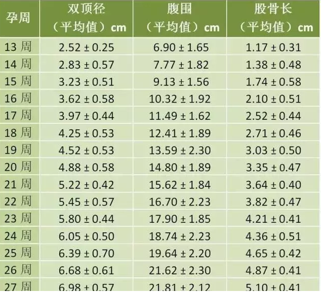 胎兒大小對照表數值解析,了解寶寶是否健康成長!