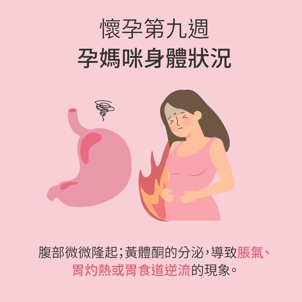 懷孕9週肚子大小和寶寶發展,新手媽媽必看!