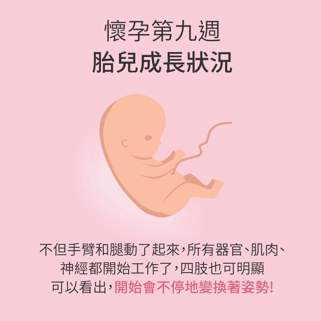 懷孕9週肚子大小和寶寶發展,新手媽媽必看!