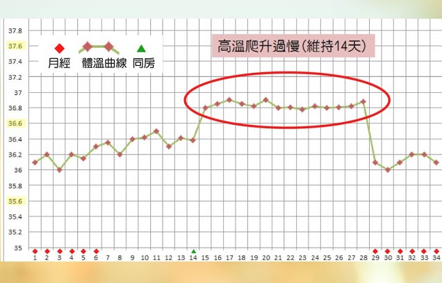 準備懷孕必看!體溫升高代表什麼?何時該驗孕?