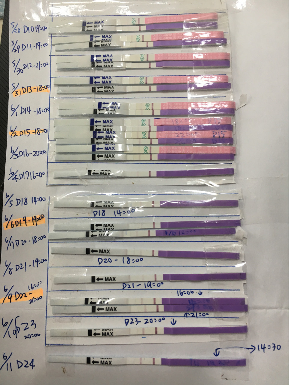 想知道戴洛排卵試紙怎麼用?ptt網友詳細教學來了!