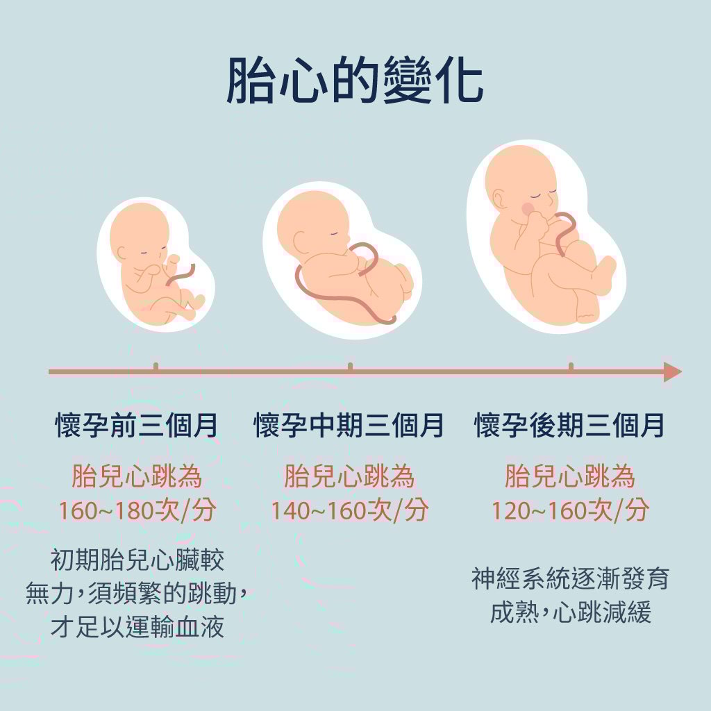 胎心監測:胎兒心跳超過160,何時該就醫檢查?