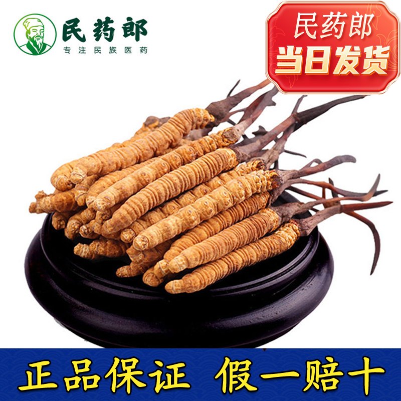 懷孕吃東蟲夏草好不好?專家解析功效與風險!