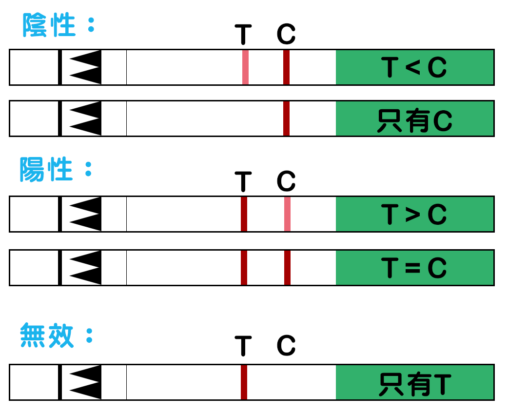 驗孕試紙驗出兩條線一定是懷孕?小心假陽性!